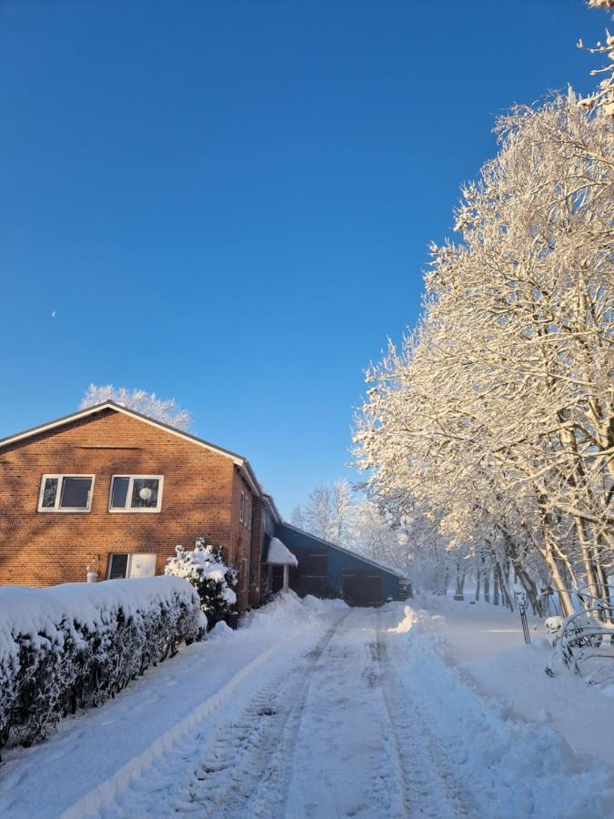 Ferienwohnung Sort Sol Grellsbuelldeich 7 Aventoft Exterior photo