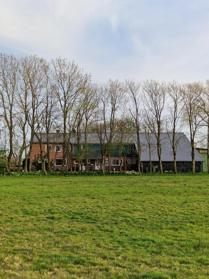 Ferienwohnung Sort Sol Grellsbuelldeich 7 Aventoft Exterior photo
